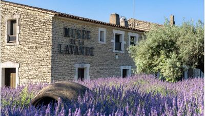 ACT - Musée de la lavande.JPG