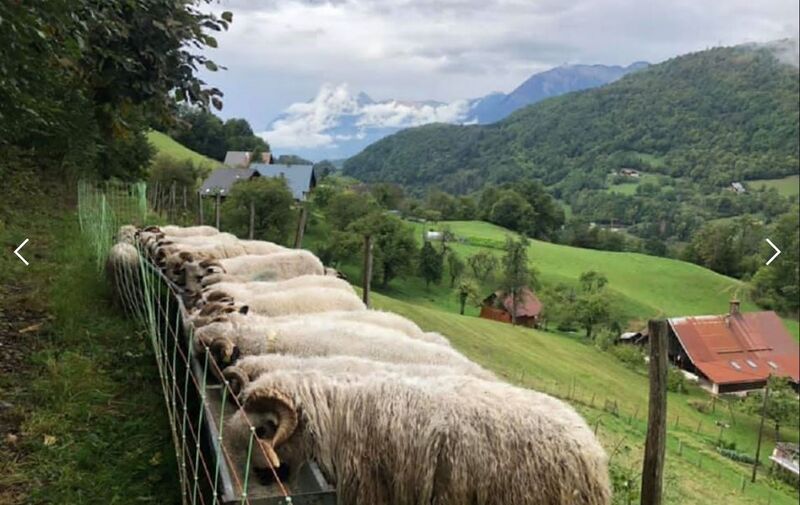 Fichier:ACT - La ferme des sapins.JPG